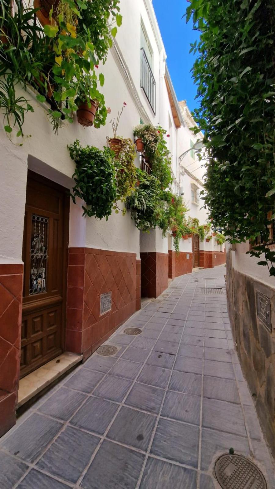 Apartamentos Sierra Nevada Park Güéjar Sierra Eksteriør billede